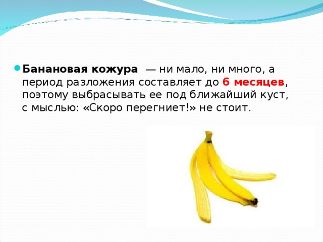 Банановая кожура   — ни мало, ни много, а период разложения составляет до 6 месяцев , поэтому выбрасывать ее под ближайший куст, с мыслью: «Скоро перегниет!» не стоит. 