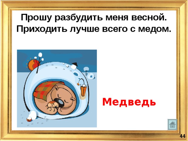 Прошу разбудить меня весной. Приходить лучше всего с медом.  Медведь