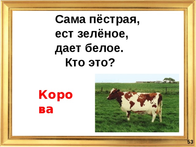 Сама пёстрая,  ест зелёное,  дает белое.  Кто это? Корова