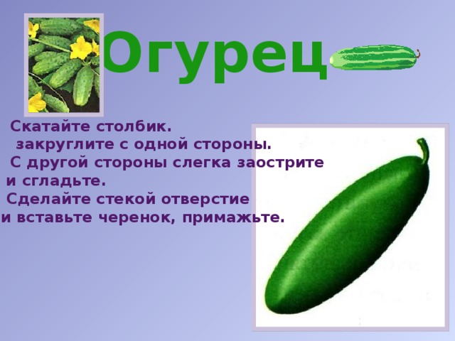 Огурец Скатайте столбик.  закруглите с одной стороны. С другой стороны слегка заострите  и сгладьте. 4. Сделайте стекой отверстие  и вставьте черенок, примажьте. 