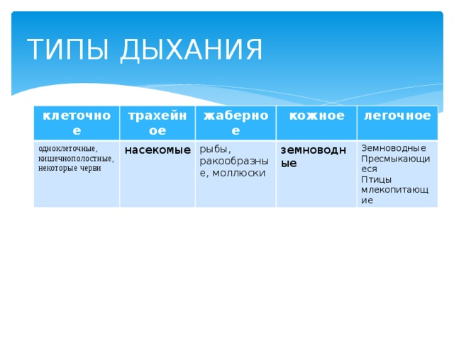 ТИПЫ ДЫХАНИЯ клеточное трахейное одноклеточные, кишечнополостные, жаберное некоторые черви насекомые кожное рыбы, легочное ракообразные, моллюски земноводные Земноводные Пресмыкающиеся Птицы млекопитающие 