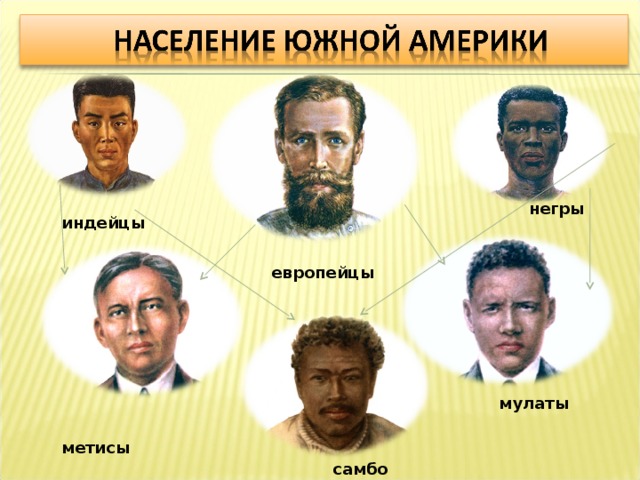  индейцы  негры  европейцы  мулаты  метисы  самбо 