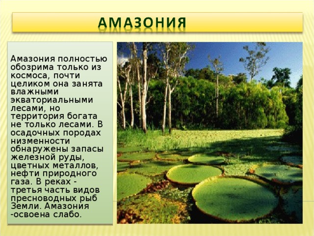 Амазония полностью обозрима только из космоса, почти целиком она занята влажными экваториальными лесами, но территория богата не только лесами. В осадочных породах низменности обнаружены запасы железной руды, цветных металлов, нефти природного газа. В реках - третья часть видов пресноводных рыб Земли. Амазония -освоена слабо. 