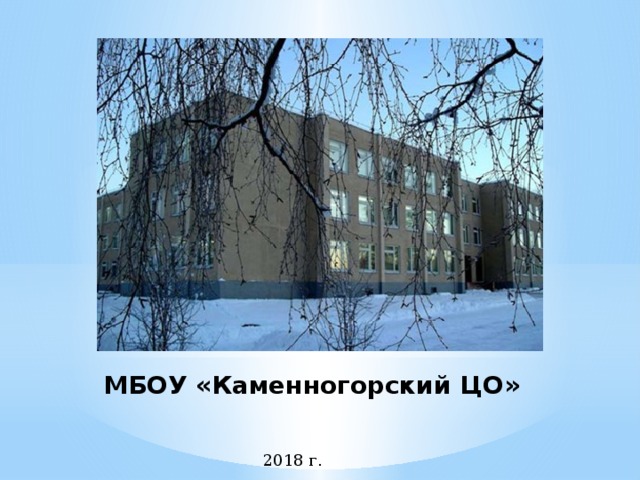    МБОУ «Каменногорский ЦО»  2018 г. 