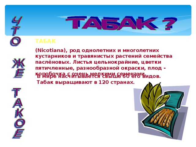ТАБАК (Nicotiana), род однолетних и многолетних кустарников и травянистых растений семейства паслёновых. Листья цельнокрайние, цветки пятичленные, разнообразной окраски, плод - коробочка с очень мелкими семенами.  В мире насчитывается свыше 60 его видов. Табак выращивают в 120 странах. 