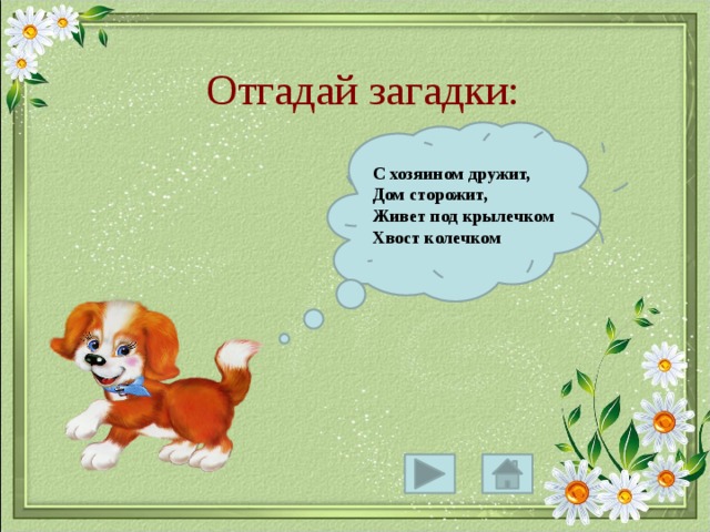  Отгадай загадки: С хозяином дружит, Дом сторожит, Живет под крылечком Хвост колечком 