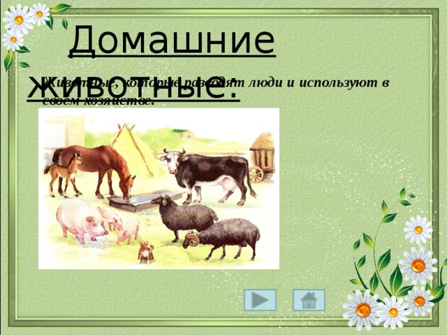  Домашние животные:  Животные, которые разводят люди и используют в своём хозяйстве. 