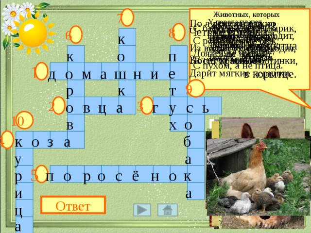 Животных, которых 7 разводят люди, кор- мят их, строят для них жилища, забо- тятся о потомстве,  называют … По лужку он важно У порога плачет, Коготки прячет,  бродит, Из воды сухим выходит, Тихо в комнату Носит красные ботинки,  войдёт, Дарит мягкие перинки. Замурлычет, запоёт. Посреди двора С бородой, а не старик, Квохчет, квохчет, С рогами, а не бык, Стоит копна. Детей созывает, Доят, а не корова, Всех под крыло Спереди – вилы, Сзади – метла. С пухом, а не птица.  собирает. 8 Он в мундире ярком, Шпоры для красы. Днём он – забияка, Поутру – часы. Четыре грязных  копытца Залезли прямо  в корытце. 6 к Гладишь – ласкается, Дразнишь – кусается. По горам, по долам Ходит шуба,  да кафтан. п о к 1 е д а м и о н ш 9 к р т г с ь у о ц в 3 2 а 10 х о в к а о 4 б з а у р ё 5 с р о о н о п к а и Ответ ц а 