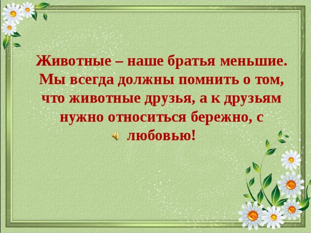 Животные – наше братья меньшие. Мы всегда должны помнить о том, что животные друзья, а к друзьям нужно относиться бережно, с любовью! 