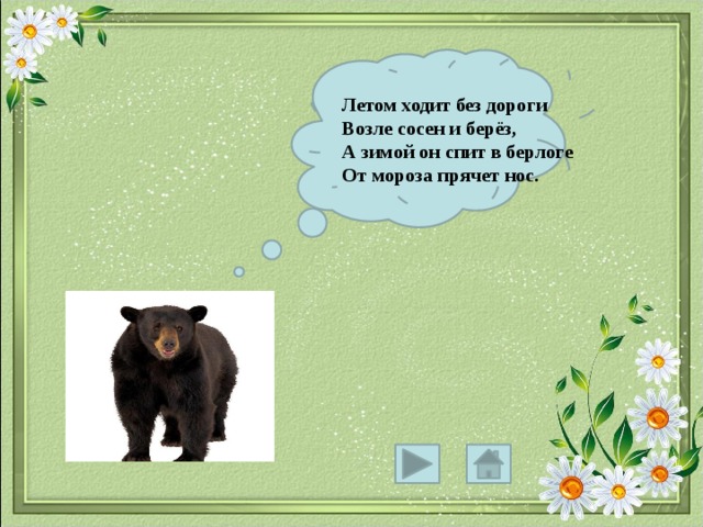 Летом ходит без дороги Возле сосен и берёз, А зимой он спит в берлоге От мороза прячет нос. 
