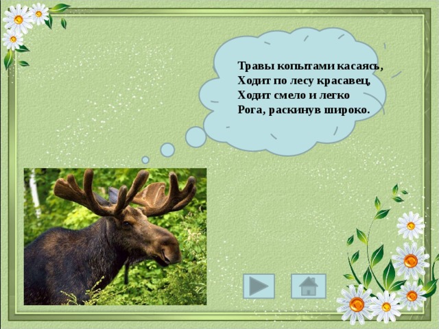 Травы копытами касаясь, Ходит по лесу красавец, Ходит смело и легко Рога, раскинув широко. 