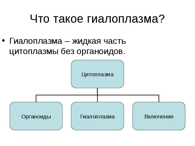 Что такое гиалоплазма? Гиалоплазма – жидкая часть цитоплазмы без органоидов.  Цитоплазма Органоиды Гиалоплазма Включения 