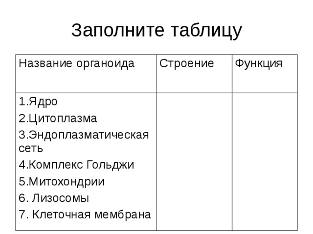 Заполните таблицу Название органоида Строение 1.Ядро 2.Цитоплазма 3.Эндоплазматическая сеть 4.Комплекс Гольджи 5.Митохондрии 6. Лизосомы 7. Клеточная мембрана Функция 