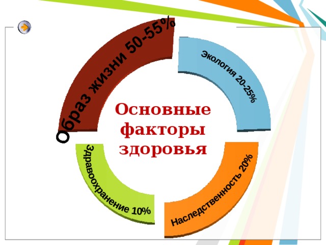 Основные факторы здоровья 