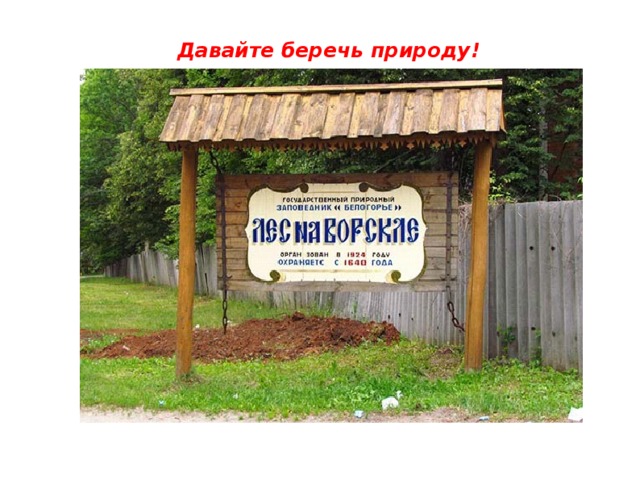 Давайте беречь природу! 