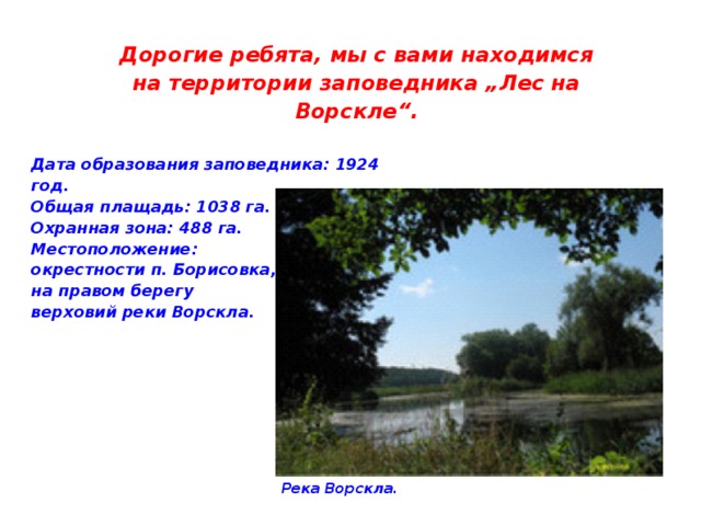 Дорогие ребята, мы с вами находимся на территории заповедника „Лес на Ворскле“. Дата образования заповедника: 1924 год. Общая плащадь: 1038 га. Охранная зона: 488 га. Местоположение: окрестности п. Борисовка, на правом берегу верховий реки Ворскла. Река Ворскла. 