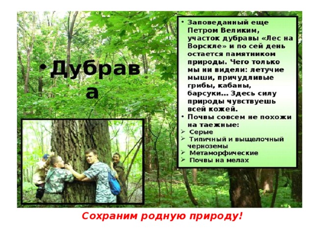Сохраним родную природу! 
