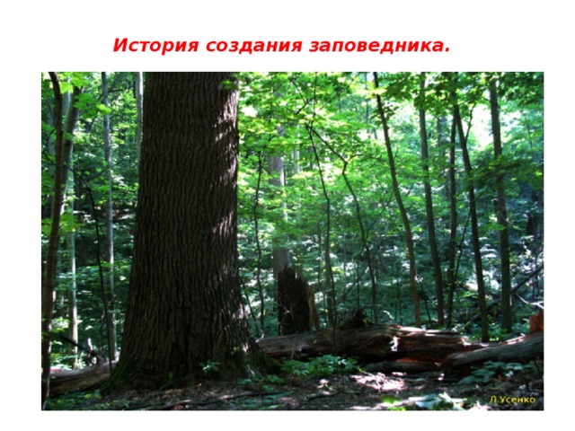 История создания заповедника. 