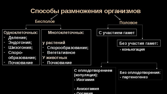 Способы размножения организмов Бесполое Половое  С участием гамет Многоклеточных: Одноклеточных: Деление; Эндогония; Шизогония; Споро-образование; Почкование  у растений Спорообразование; Вегетативное У животных Почкование Без участия гамет: - коньюгация С оплодотворением (копуляция): - Изогамия - Анизогамия - Оогамия Без оплодотворения: - партеногенез 