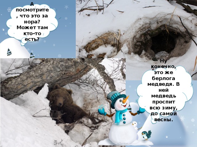 А посмотрите, что это за нора? Может там кто-то есть? Ну конечно, это же берлога медведя. В ней медведь проспит всю зиму, до самой весны. 