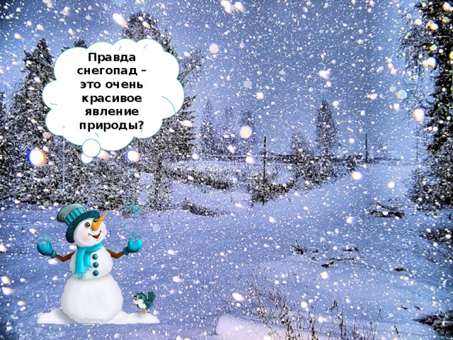 Правда снегопад – это очень красивое явление природы? 