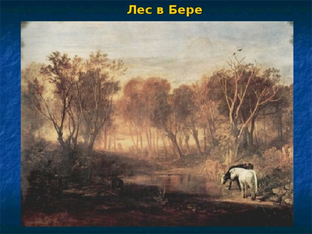 Лес в Бере 
