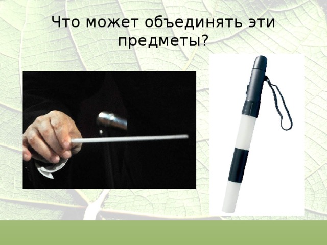 Что может объединять эти предметы? 