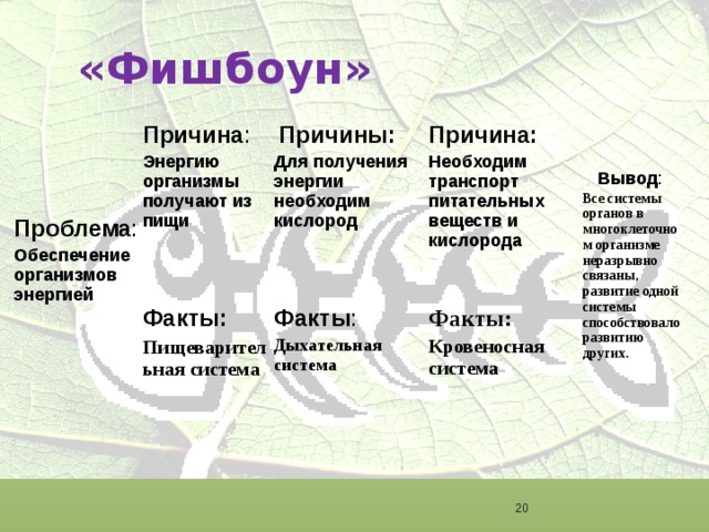 «Фишбоун»  Причина :  Энергию организмы получают из пищи   Причины:  Проблема : Факты: Для получения энергии необходим кислород Причина:  Необходим транспорт питательных веществ и кислорода Обеспечение организмов энергией    Факты : Пищеварительная система   Факты: Дыхательная система  Вывод : Кровеносная система Все системы органов в многоклеточном организме неразрывно связаны, развитие одной системы способствовало развитию других.  