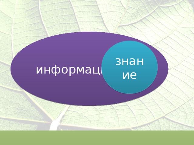 информация   знание  