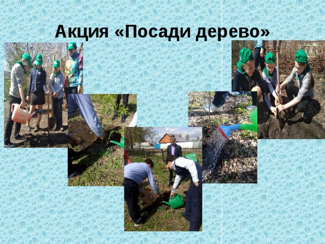Акция «Посади дерево» 