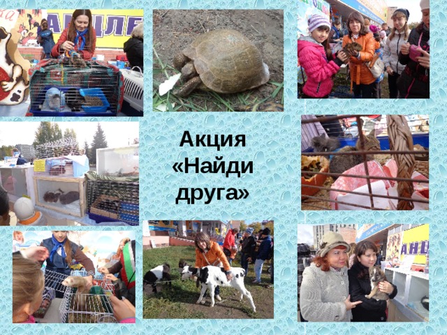 Акция «Найди друга» 