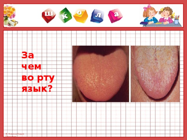 За чем во рту язык? 