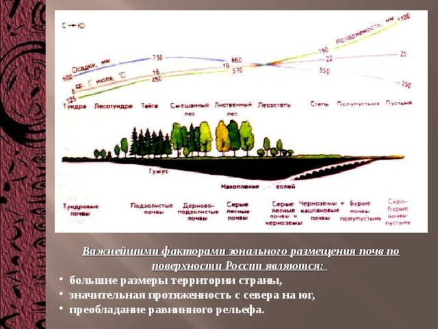 Важнейшими факторами зонального размещения почв по поверхности России являются:   большие размеры территории страны,  значительная протяженность с севера на юг,  преобладание равнинного рельефа. 