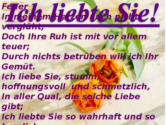 Ich liebte Sie: vielleicht ist dieses Feuer In meinem Herzen noch nicht vergl üht; Doch Ihre Ruh ist mit vor allem teuer; Durch nichts betrüben will ich Ihr Gemüt. Ich liebe Sie, stumm, hoffnungsvoll und schmetzlich, In aller Qual, die solche Liebe gibt; Ich liebte Sie so wahrhaft und so herzlich. Gott geb, dass Sie ein andrer je so liebt. 