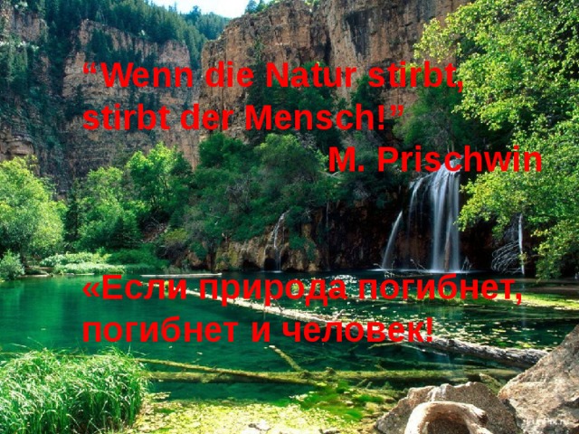 “ Wenn die Natur stirbt, stirbt der Mensch!”  M. Prischwin   «Если природа погибнет, погибнет и человек! 