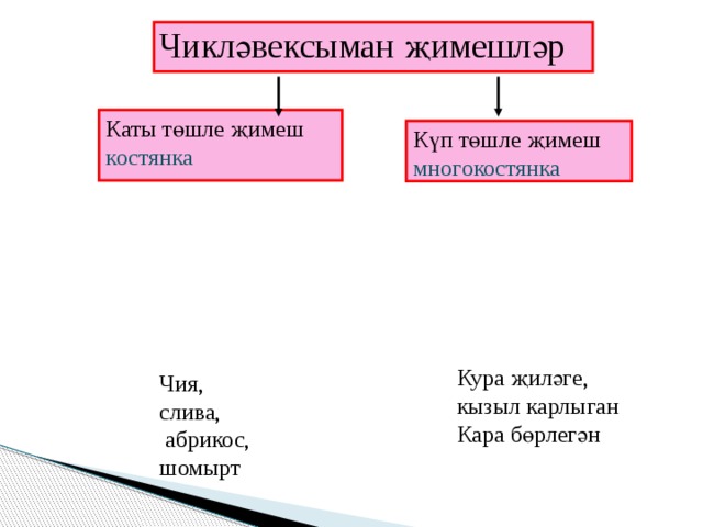 Чикләвексыман җимешләр Каты төшле җимеш костянка Күп төшле җимеш многокостянка Кура җиләге, кызыл карлыган Кара бөрлегән Чия, слива,  абрикос, шомырт 