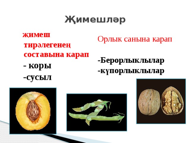Җимешләр    җимеш тирәлегенең составына карап Орлык санына карап  - коры   -сусыл -Берорлыклылар -күпорлыклылар 