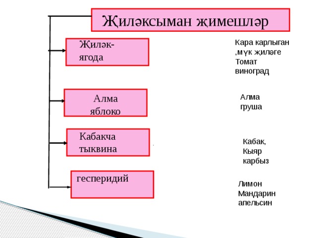 Җиләксыман җимешләр Кара карлыган Җиләк- ягода ,мүк җиләге Томат виноград Алма яблоко Алма груша Кабакча тыквина Кабак, Кыяр карбыз гесперидий Лимон Мандарин апельсин 