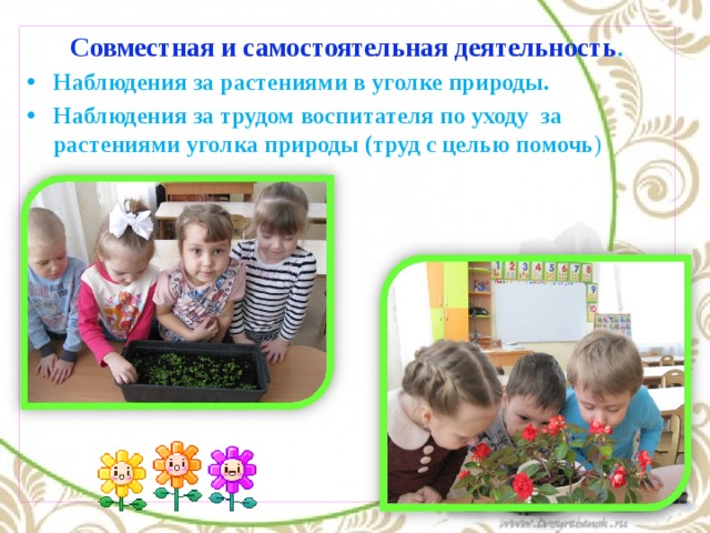 Совместная и самостоятельная деятельность . Наблюдения за растениями в уголке природы. Наблюдения за трудом воспитателя по уходу за растениями уголка природы (труд с целью помочь )  