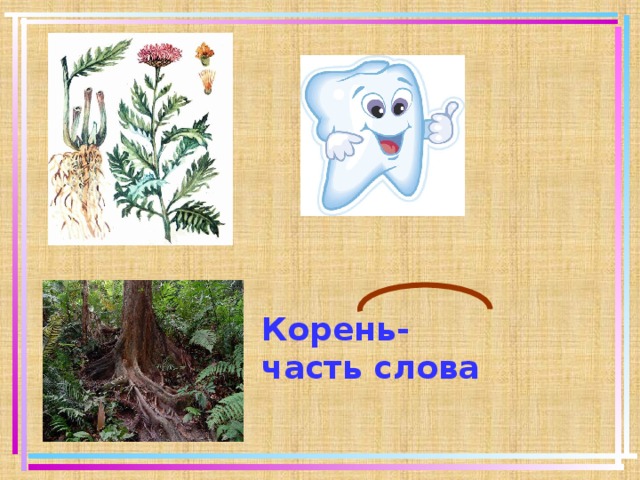        Корень- часть слова  