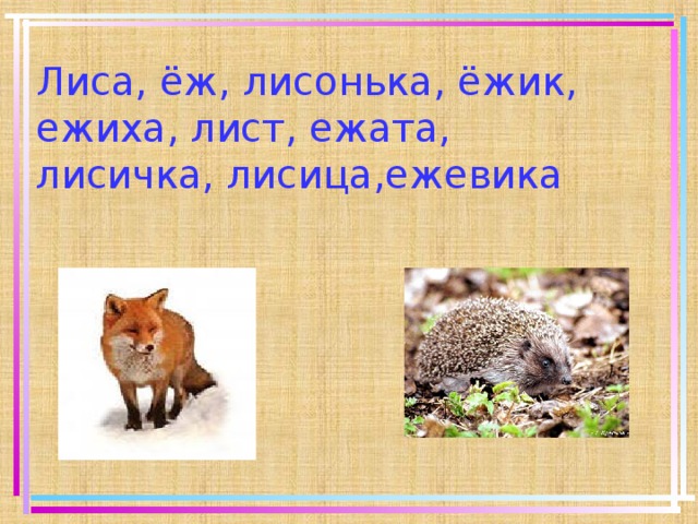 Лиса, ёж, лисонька, ёжик, ежиха, лист, ежата, лисичка, лисица,ежевика    