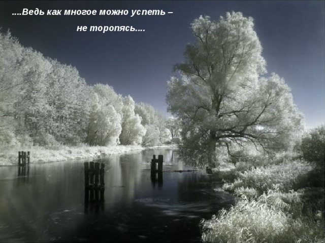 ....Ведь как многое можно успеть –  не торопясь.... 