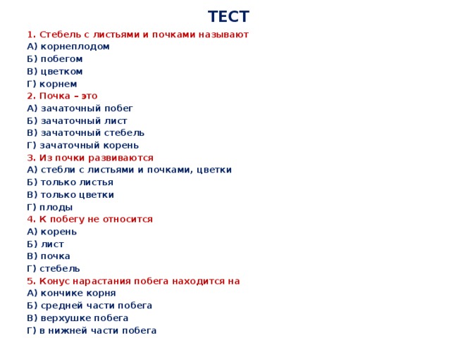  ТЕСТ 1. Стебель с листьями и почками называют А) корнеплодом Б) побегом В) цветком Г) корнем 2. Почка – это А) зачаточный побег Б) зачаточный лист В) зачаточный стебель Г) зачаточный корень 3. Из почки развиваются А) стебли с листьями и почками, цветки Б) только листья В) только цветки Г) плоды 4. К побегу не относится А) корень Б) лист В) почка Г) стебель 5. Конус нарастания побега находится на А) кончике корня Б) средней части побега В) верхушке побега Г) в нижней части побега 