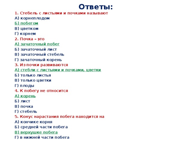 Ответы: 1. Стебель с листьями и почками называют А) корнеплодом Б) побегом В) цветком Г) корнем 2. Почка – это А) зачаточный побег Б) зачаточный лист В) зачаточный стебель Г) зачаточный корень 3. Из почки развиваются А) стебли с листьями и почками, цветки Б) только листья В) только цветки Г) плоды 4. К побегу не относится А) корень Б) лист В) почка Г) стебель 5. Конус нарастания побега находится на А) кончике корня Б) средней части побега В) верхушке побега Г) в нижней части побега 