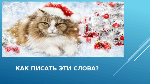 как писать эти слова? 