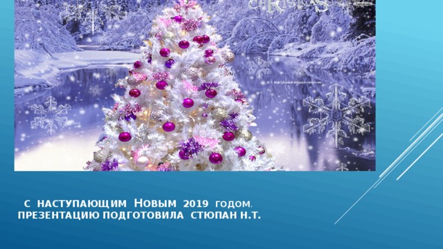  с наступающим н овым 2019 годом .  Презентацию подготовила стюпан н.т. 