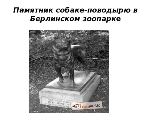 Памятник собаке-поводырю в Берлинском зоопарк е 