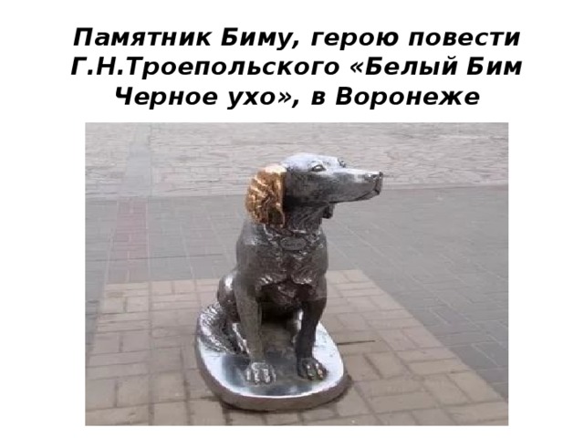 Памятник Биму, герою повести Г.Н.Троепольского «Белый Бим Черное ухо», в Воронеже 