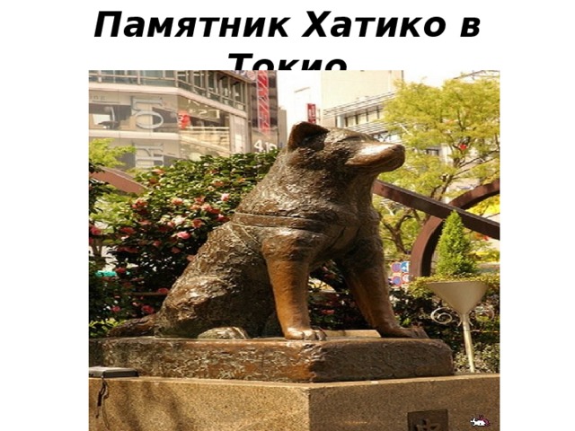 Памятник Хатико в Токио 