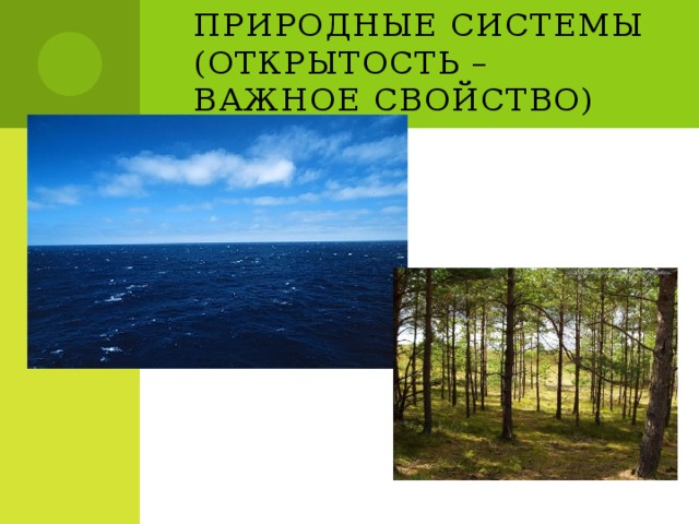 Природные системы (открытость – важное свойство) 
